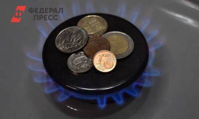 Немцы возмутились отказом правительства платить за российский газ в рублях