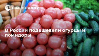 Росстат: в России с 19 по 25 марта огурцы подешевели на 7,22%, помидоры — на 0,72%
