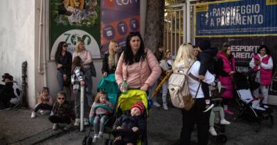 Италия предоставит украинским беженцам вид на жительство сроком на 1 год
