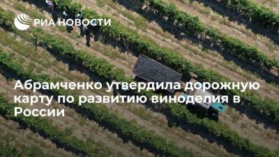 Вице-премьер Абрамченко утвердила дорожную карту по развитию виноделия в России