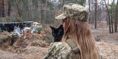 Пушистый фронт. Как животные помогают украинским защитникам, а они — им