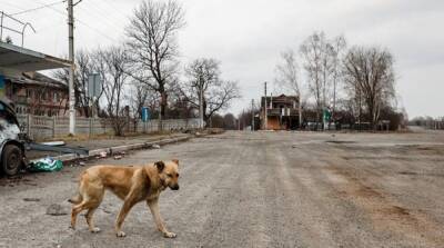 ВСУ освободили от оккупантов три села в Херсонской области