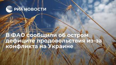 ФАО: многие страны испытывают острый дефицит продовольствия из-за конфликта на Украине