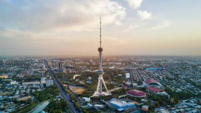 Узбекистан стал самым популярным авиамаршрутом у россиян в марте