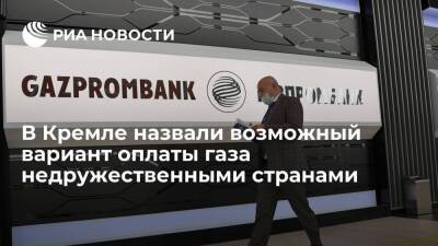 Песков назвал оплату с конвертацией в рубли через ГПБ одним из вариантов расчетов за газ