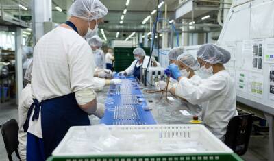 В Исетском районе откроется предприятие для производства 12 млн инкубационных яиц