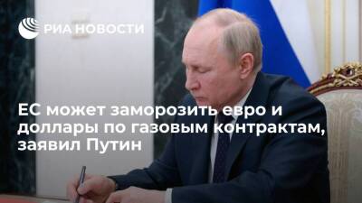 Путин: ситуация, при которой ЕС заморозит евро и доллары по газовым контрактам, ожидаема