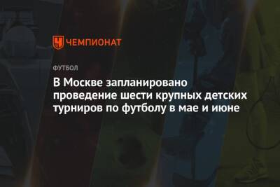 В Москве запланировано проведение шести крупных детских турниров по футболу в мае и июне
