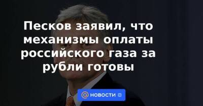 Песков заявил, что механизмы оплаты российского газа за рубли готовы
