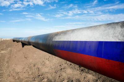 Путин запретил поставлять газ «недружественным государствам» с 1 апреля иначе чем за рубли