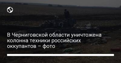 В Черниговской области уничтожена колонна техники российских оккупантов – фото