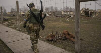 В экопарке Харькова во время обстрела погибли бизоны (фото)