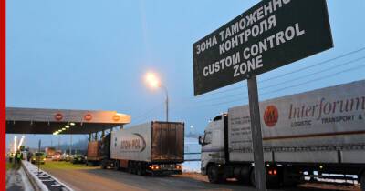 Импорт продуктов и кормов в Россию будут осуществлять по упрощенной схеме