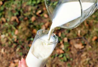 Ученые нашли пагубную связь между молоком и атеросклерозом