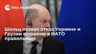 Канцлер ФРГ Шольц назвал отказ Украине и Грузии в членстве в НАТО правильным