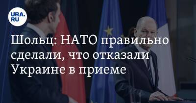 Шольц: НАТО правильно сделали, что отказали Украине в приеме
