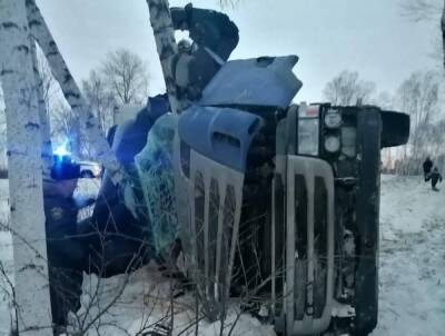 Под Новосибирском 40-летний водитель Scania погиб от удара о дерево