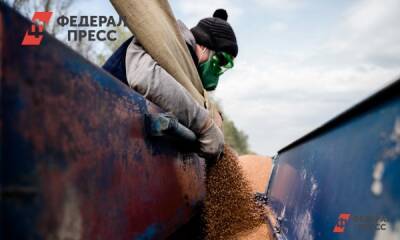 Красноярским фермерам предлагают гранты по нацпроекты