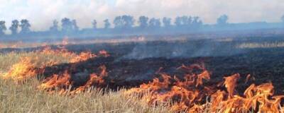 В Астраханской области на территории заповедника произошел пожар