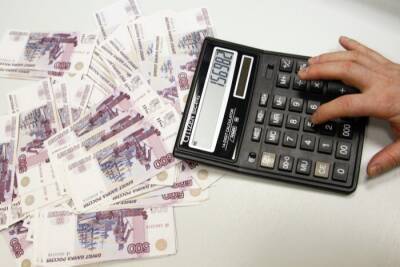 Центр поддержки предпринимателей в Приамурье сохранит ставки по льготным займам