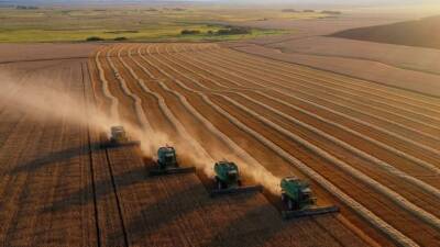 Кабмин России утвердил постановление о кредитных каникулах для аграриев