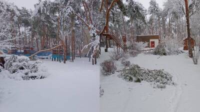 Парк «Алые паруса» в Воронеже закрыли из-за падающих от снегопада деревьев