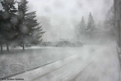 В ближайшие дни в Зауралье ожидаются снегопады, метель и порывистый ветер