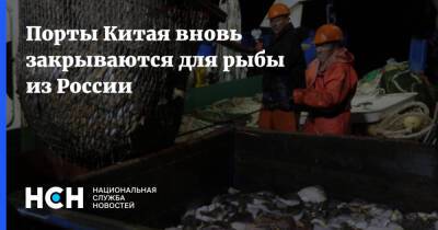 Порты Китая вновь закрываются для рыбы из России