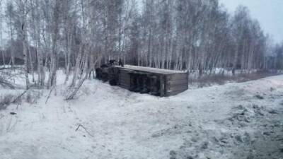В Новосибирской области грузовик врезался в дерево – водитель погиб