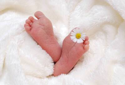 В Бокситогорском районе в феврале родилось 25 малышей