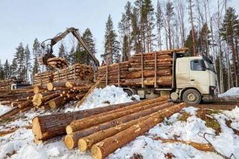 Санкции добрались до вологодских лесопромышленников: идет отзыв FSC-сертификатов?