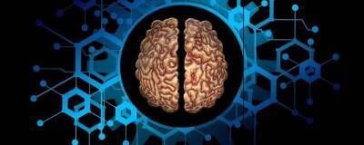 Мозг человека стирает воспоминания во время усваивания новой информации