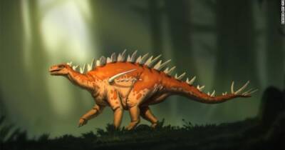 Ученые обнаружили самого старого динозавра: это абсолютно новый вид и такого еще не видели