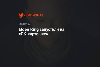 Elden Ring запустили на «ПК-картошке»