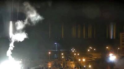 Эксперт оценил опасность после пожара на территории Запорожской АЭС