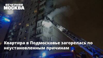 Квартира в Подмосковье загорелась по неустановленным причинам