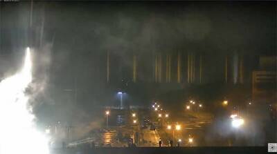 К пожару на Запорожской АЭС пропустили спасателей – глава ОГА (дополнено)
