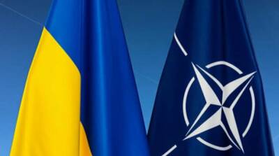 Петиция к НАТО о закрытии неба над Украиной набрала нужное количество голосов