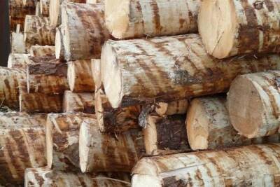 Сотрудники МВД и ФСБ перекрыли незаконный канал вывоза древесины из Иркутской области
