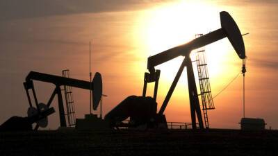 Член ОП Данюк прокомментировал призыв Трасс включить в санкции газовый и нефтяной сектора