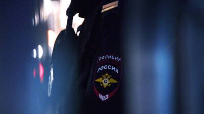В МВД сообщили о сокращении количества грабежей в Московской области