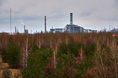 Глава ядерного надзора ООН предлагает отправиться в Чернобыль и мира