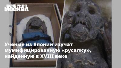 Ученые из Японии изучат мумифицированную «русалку», найденную в XVIII веке