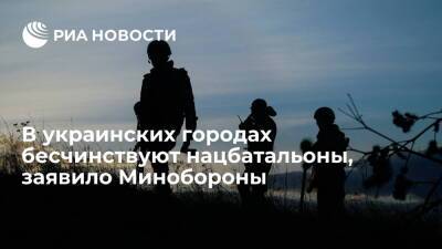 Минобороны назвало национальные батальоны на Украине нацистами и террористами