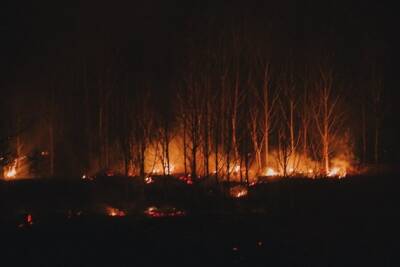 Увеличить в 10 раз штрафы для поджигателей леса предложили депутаты Госдумы от Забайкалья