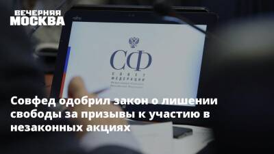 Совфед одобрил закон о лишении свободы за призывы к участию в незаконных акциях - vm.ru