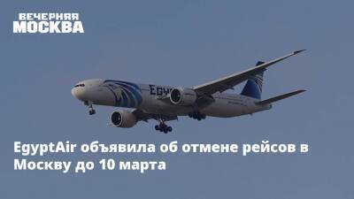 EgyptAir объявила об отмене рейсов в Москву до 10 марта