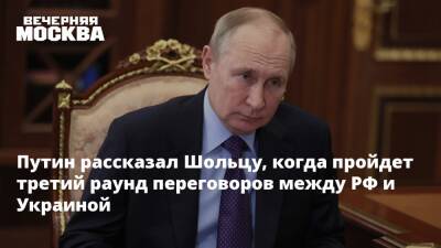 Путин рассказал Шольцу, когда пройдет третий раунд переговоров между РФ и Украиной