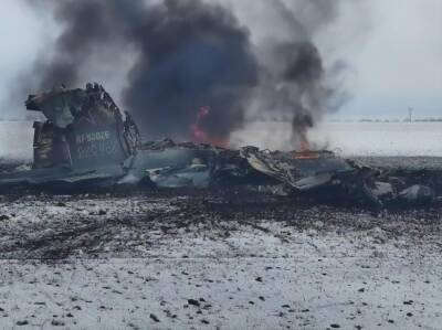 С начала полномасштабного вторжения РФ украинские военные уничтожили 74 единицы авиации оккупантов – Залужный