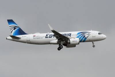 EgyptAir временно отменил рейсы в РФ из-за проблем со страховкой полетов